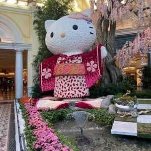 Meet your Posher, Eliana